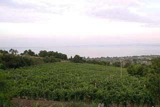 Agriturismo Belvedere Pensionat Bolsena Exteriör bild